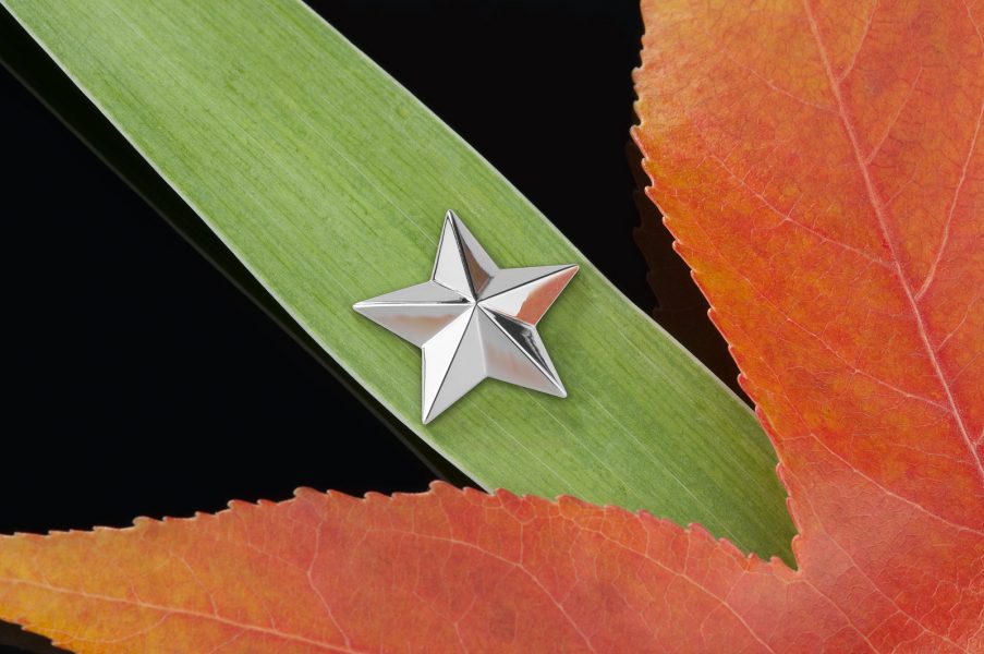 Werbefotografiereihe einer Schmuckkollektion - zu sehen ist ein silberner Stern, der zwischen 2 Blättern drapiert ist.